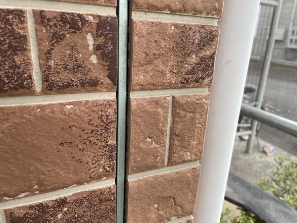 S__8577116_0_コピー