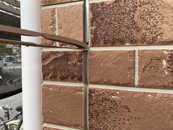 S__8577114_0_コピー