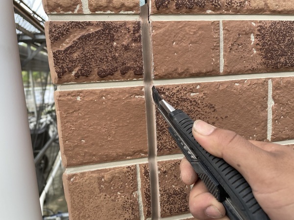 S__8577113_0_コピー