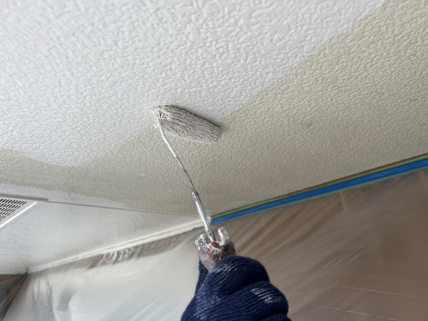 S__46776379_0_コピー