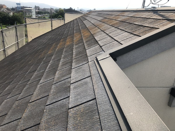 CEC0499C-ADAB-4282-9893-A6E3B85CC22B_コピー