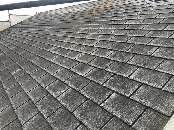 C21E8F2E-9761-467F-9B8D-1651A3E4813D_コピー