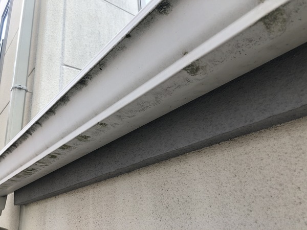 10715E2E-FA81-488F-B249-32543345E598_コピー