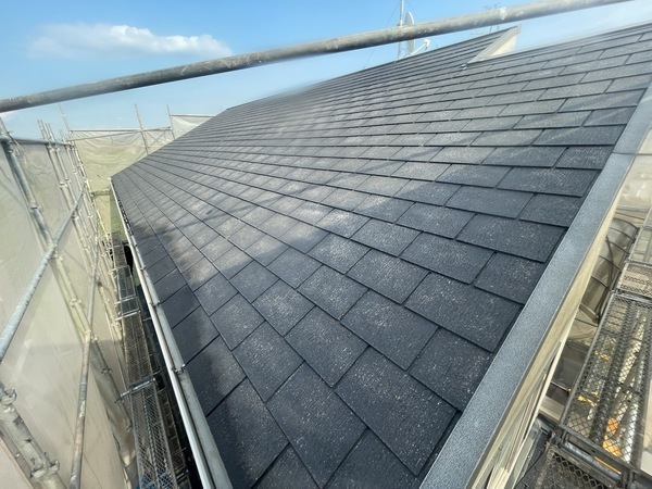 S__8831039_0_コピー