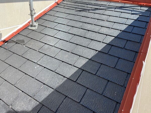 S__101957682_0_コピー