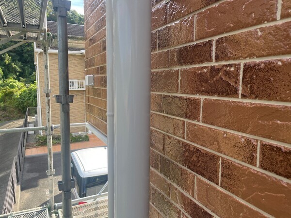 S__101924881_0_コピー