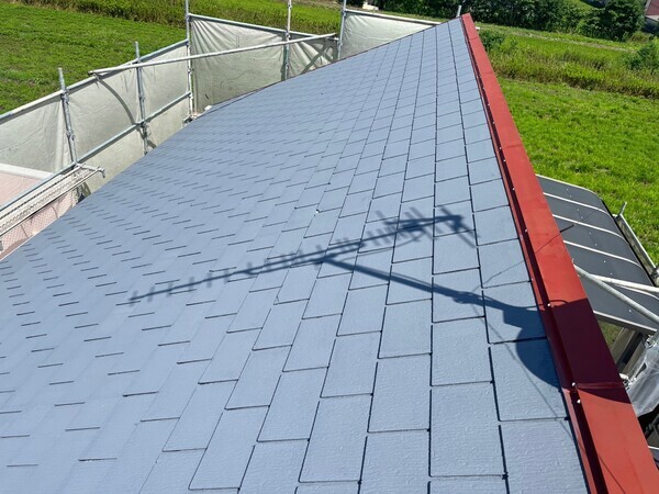 S__102006835_0_コピー