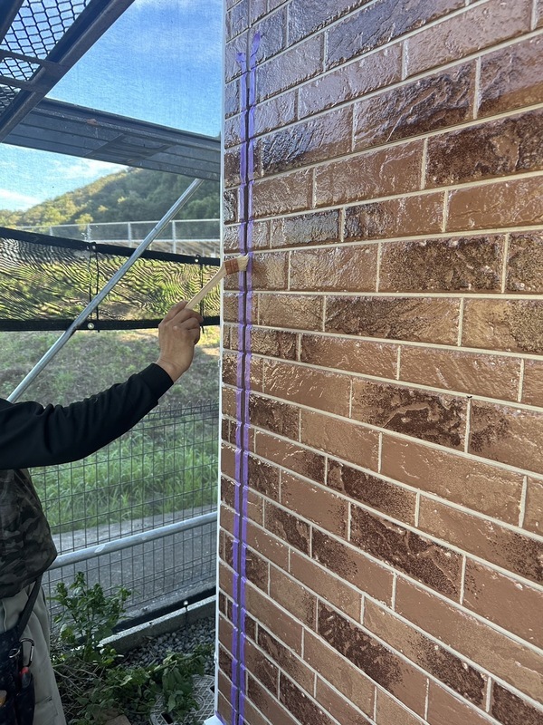 S__187727886_0_コピー