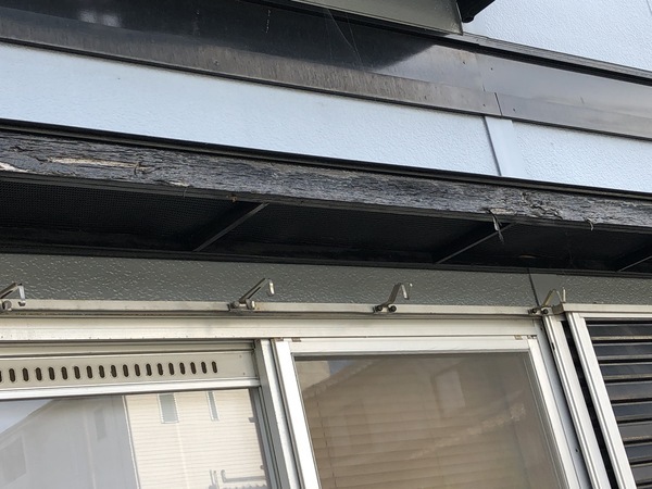 90C2840C-EA61-4394-95C1-E6CE4FB0C499_コピー