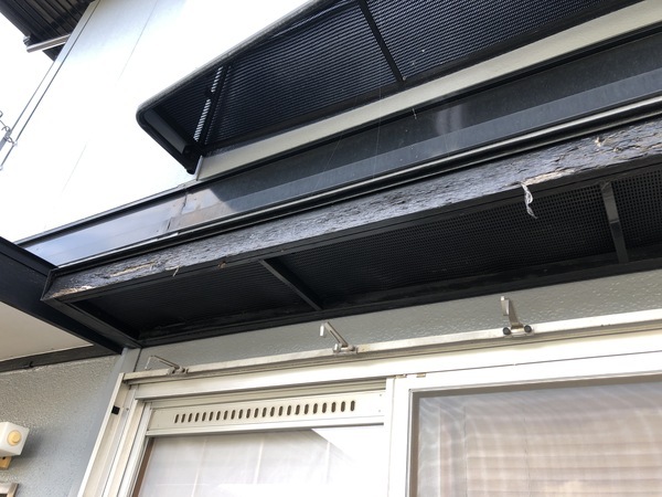 A72CADFE-DAD4-4F50-BF71-C1E6F7682B0D_コピー