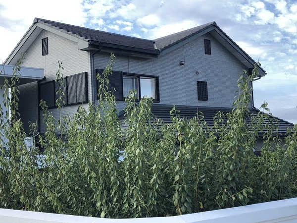 C5DDBE53-7314-45A4-84EF-C95094AC10BA_コピー