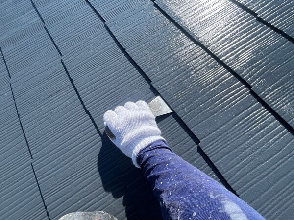 S__102817805_0_コピー