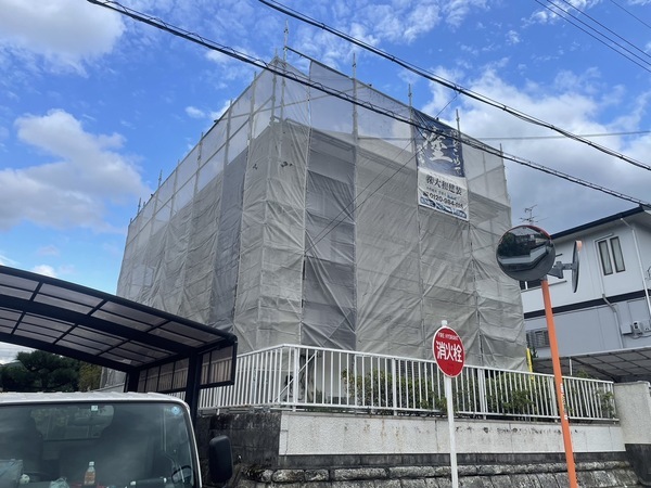 S__9936926_0_コピー