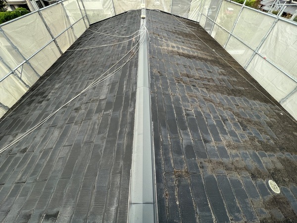 S__47587389_0_コピー