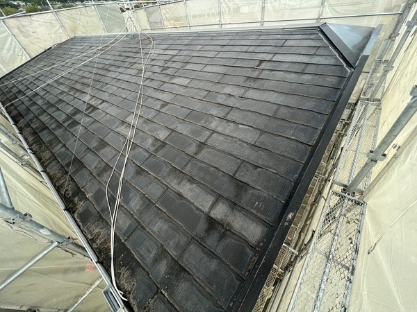 S__47587391_0_コピー