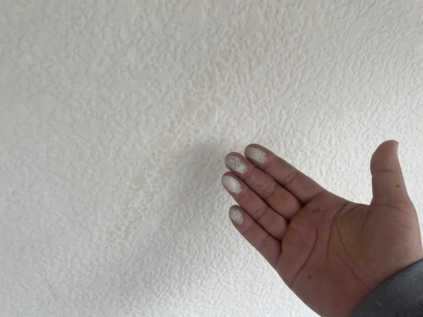 S__9945129_0_コピー