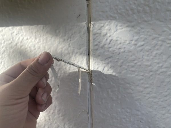 S__9953345_0_コピー