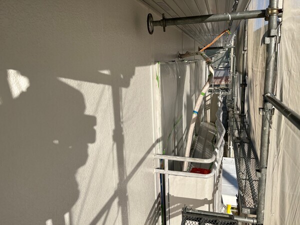 S__103137312_0_コピー