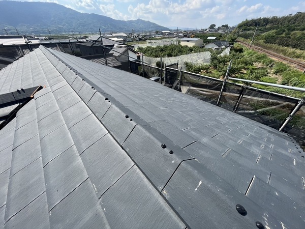 S__41402385_0_コピー