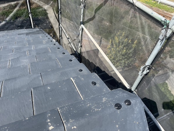 S__41402384_0_コピー