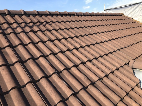 8ACDB989-810F-452E-9C06-E5F32ABC1E91_コピー