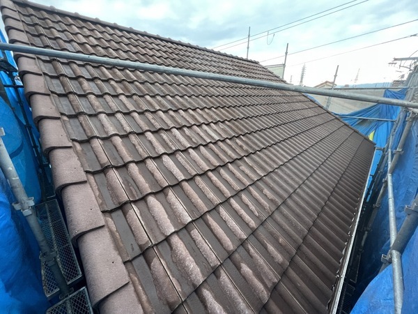 S__47955984_0_コピー