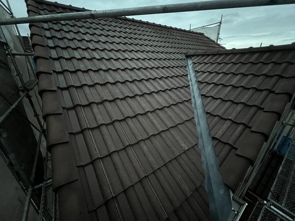 S__47955987_0_コピー