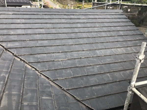 8451A9C5-0FAC-4CE9-A277-7BC5F35C5231_コピー