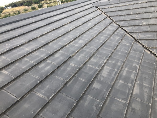 550798DC-F12E-4884-9022-CDF8FBC19BDB_コピー