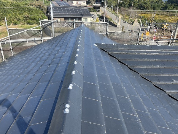 S__41730075_0_コピー