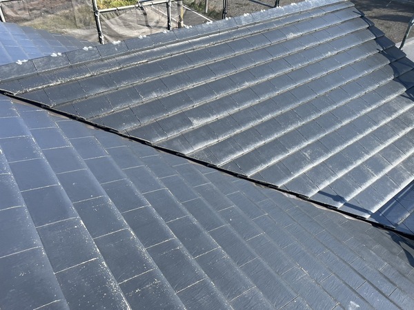 S__41730074_0_コピー