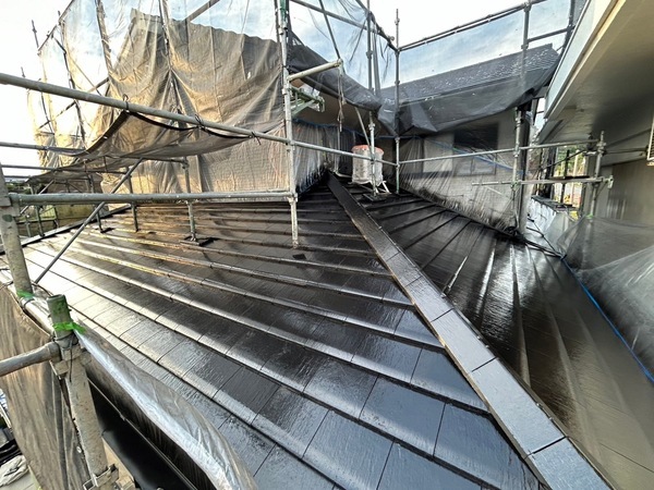 S__41746460_0_コピー