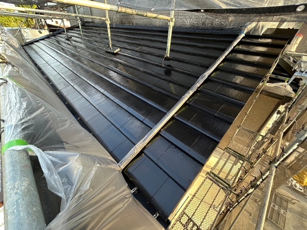 S__41746459_0_コピー