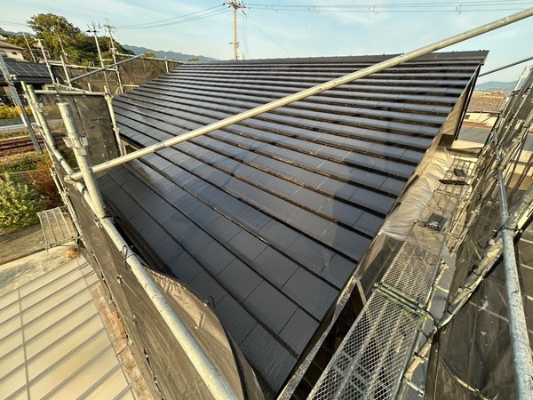 S__41746458_0_コピー