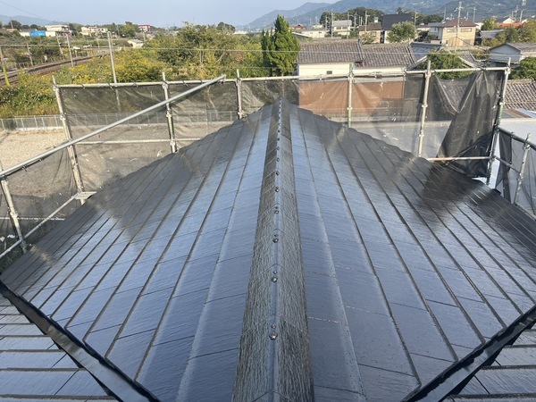 S__41746456_0_コピー