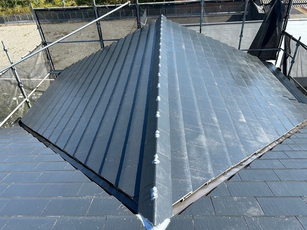 S__41746453_0_コピー