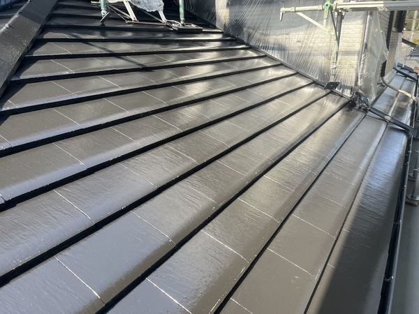 S__41754653_0_コピー