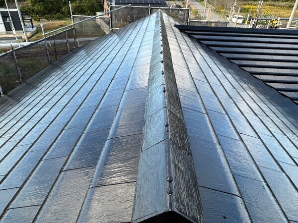 S__420929557_0_コピー