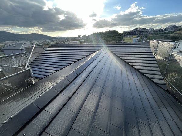 S__41779236_0_コピー