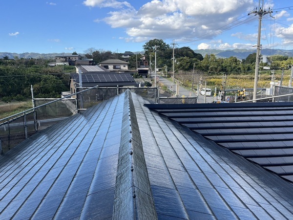 S__41779231_0_コピー