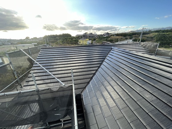 S__41779238_0_コピー