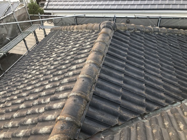 603B9ECB-FA78-48D0-AB5E-F5E9FC6B878E_コピー