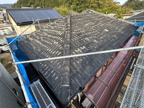 S__422182933_0_コピー