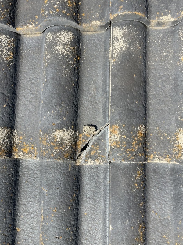 S__168534022_コピー