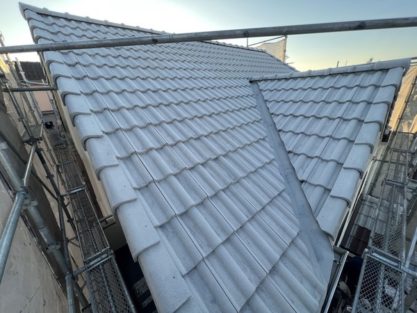 S__48226401_0_コピー