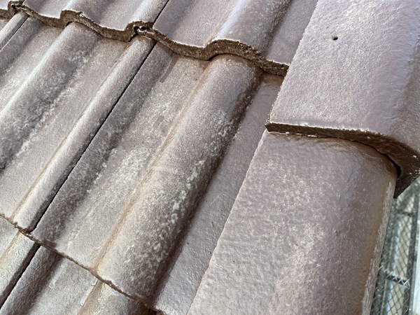 S__48250971_0_コピー