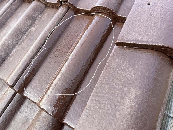 S__48250973_new_コピー