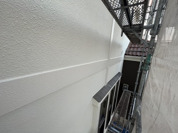 S__41967631_0_コピー