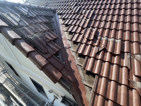 S__41967647_0_コピー