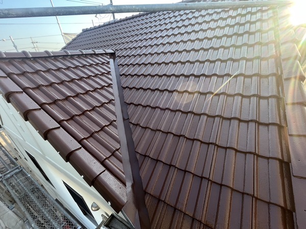 S__41967655_0_コピー